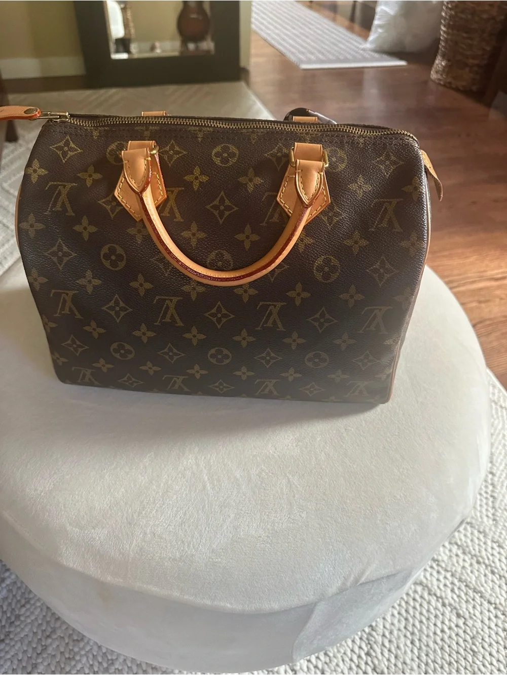 Louis Vuitton Monogram Speedy 30 Handbag - Brown- mint condition!
